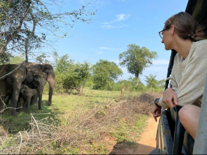 Nature Lovers Safari & Villa Удавалаве Экстерьер фото