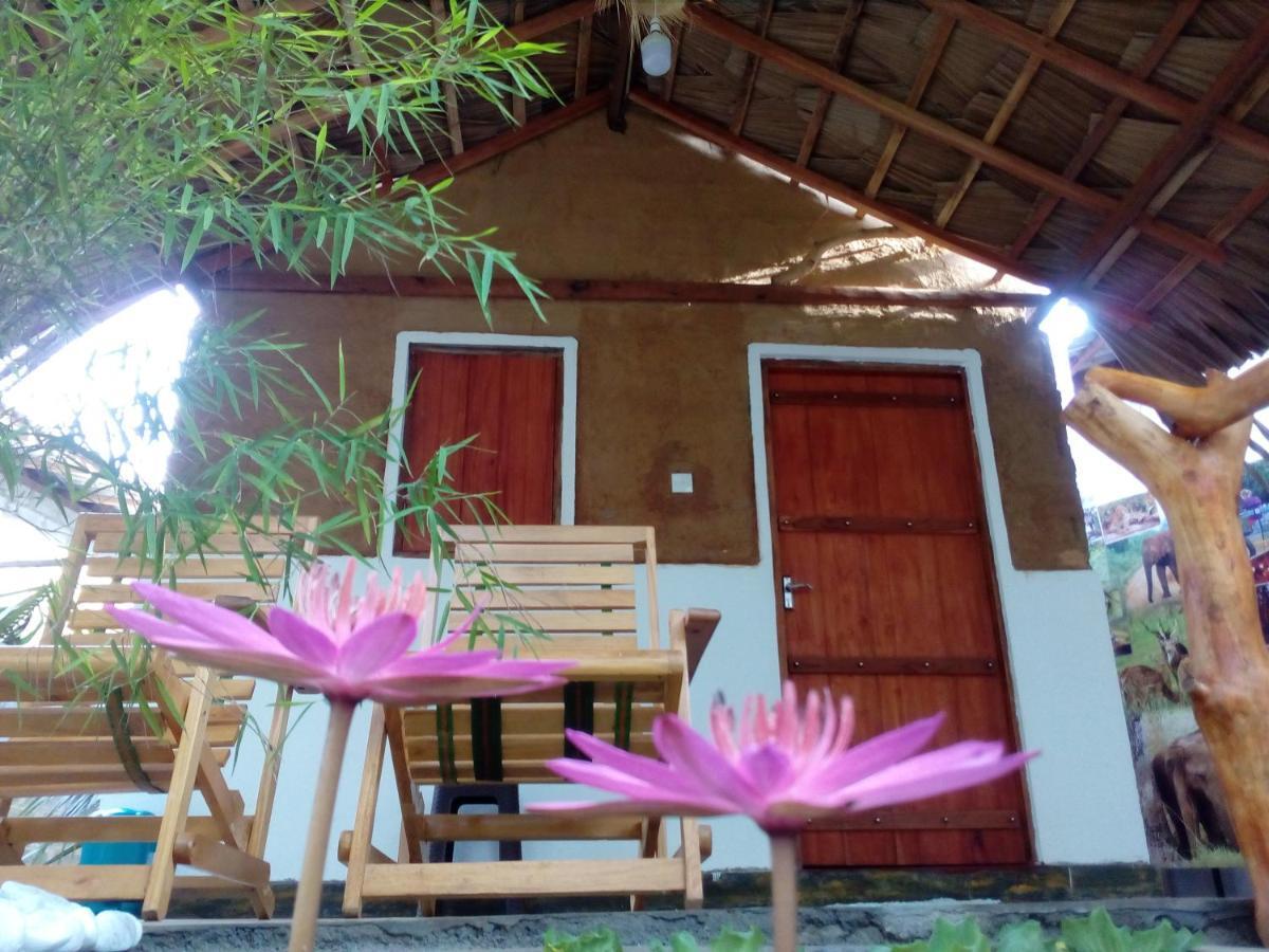 Nature Lovers Safari & Villa Удавалаве Экстерьер фото